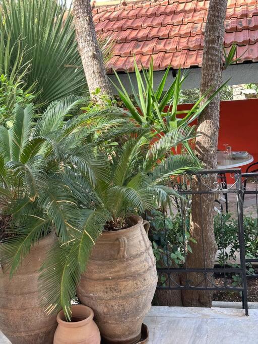 Villa Caja De Anthea Artemida  Exterior foto