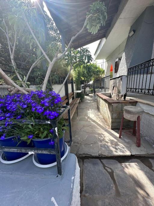 Villa Caja De Anthea Artemida  Exterior foto